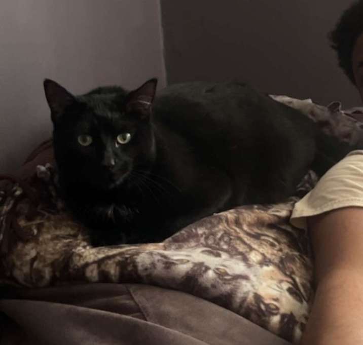Photo of Zackary Binx