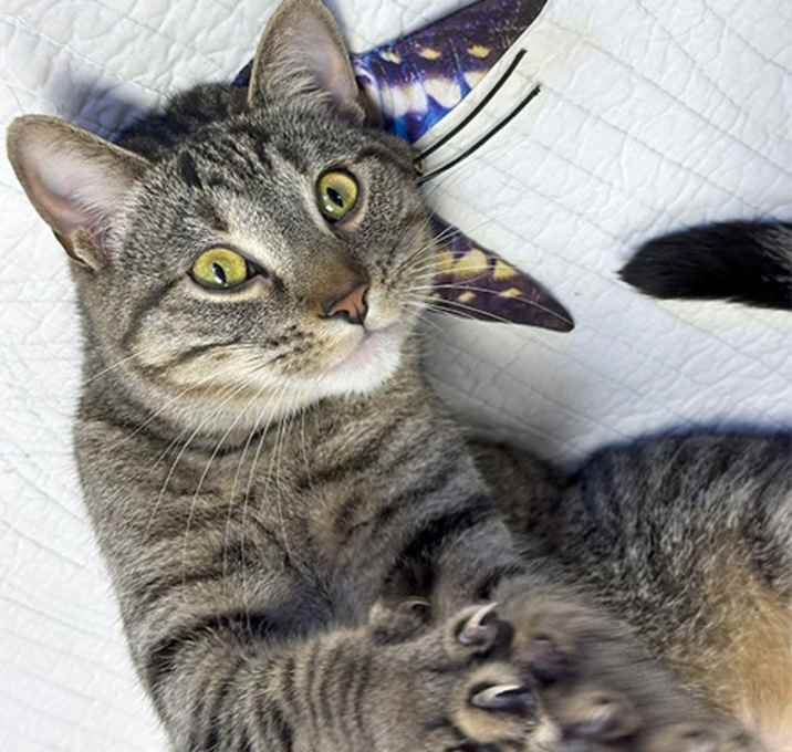 Photo of Silvy
