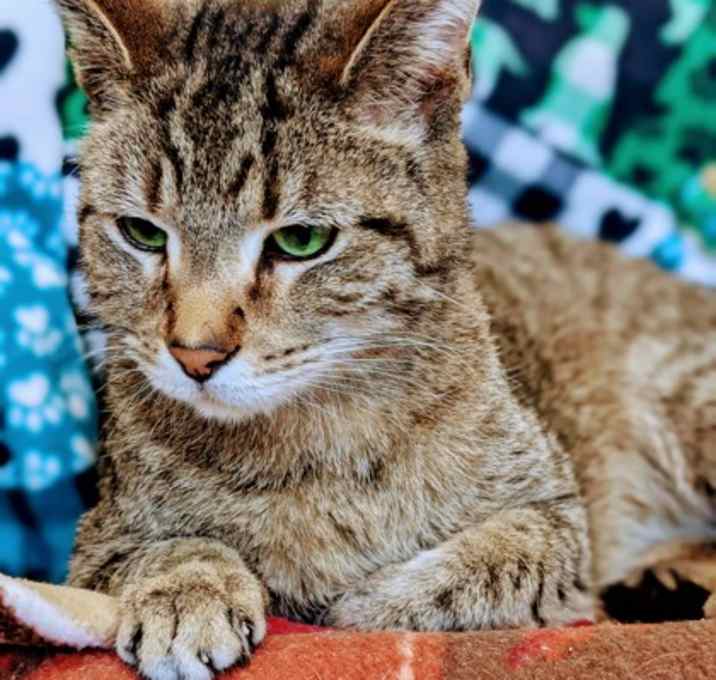 Photo of Alvin