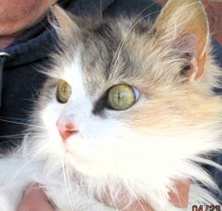 Photo of Carmen
