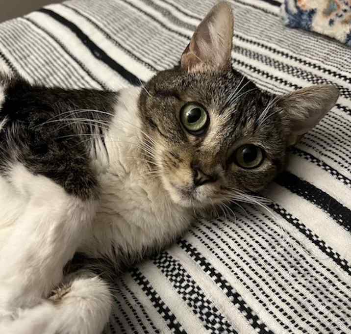 Photo of Kizzie