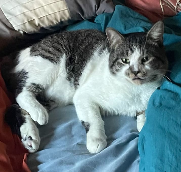Photo of Billy
