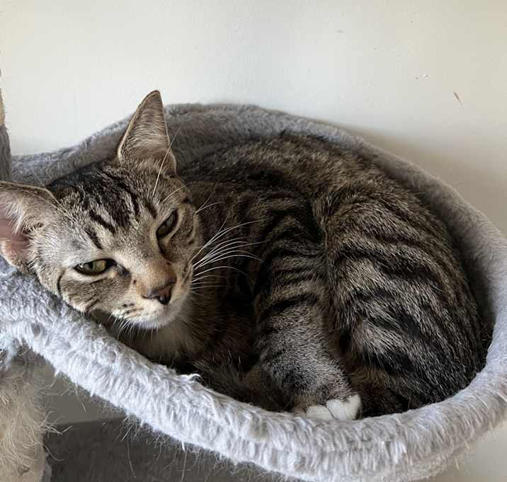 Photo of Rocket