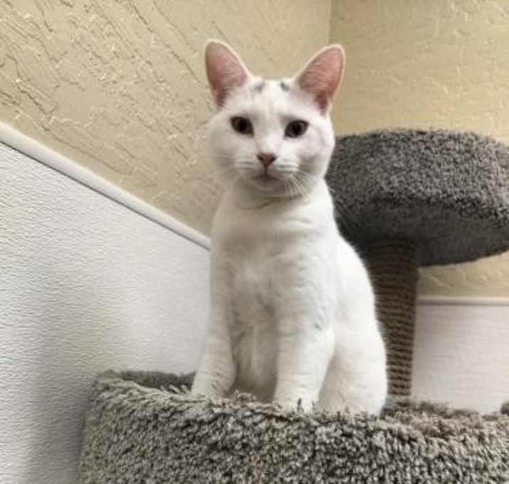 Photo of Cleo