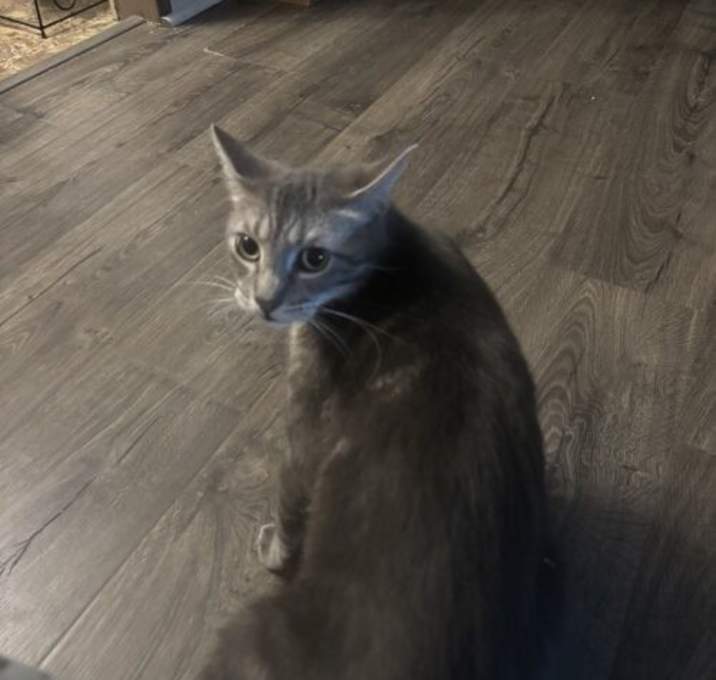 Photo of Annie