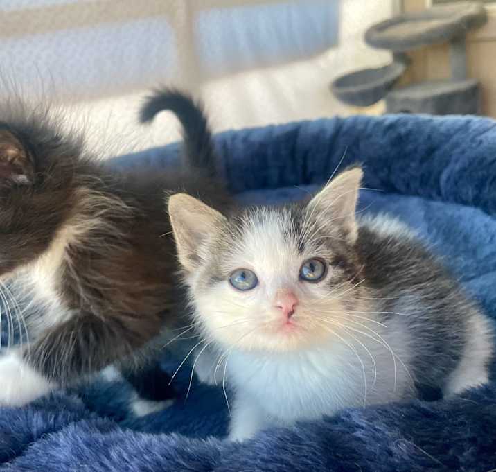 Photo of Mel & Wybie