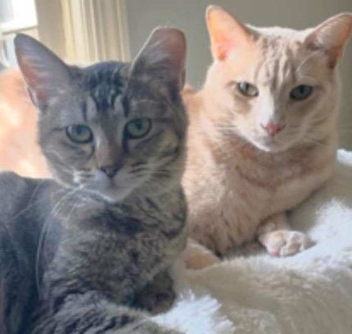Photo of Bubba and Shiloh
