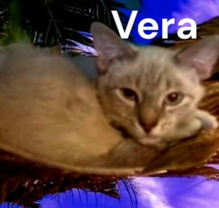 Photo of Vera