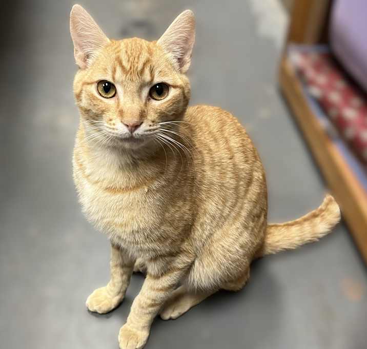 Photo of Cassidy