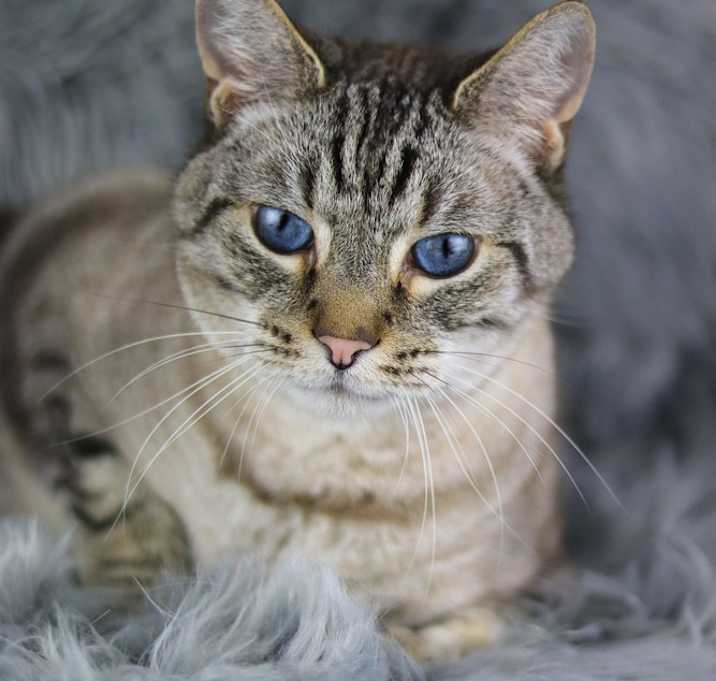 Photo of George