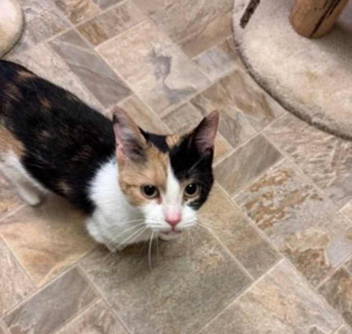 Photo of Cally