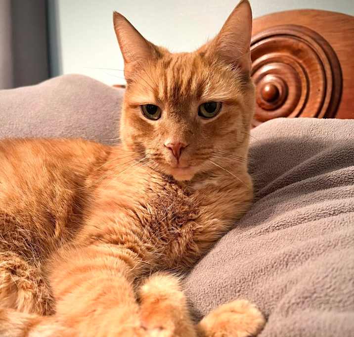 Photo of Charlie