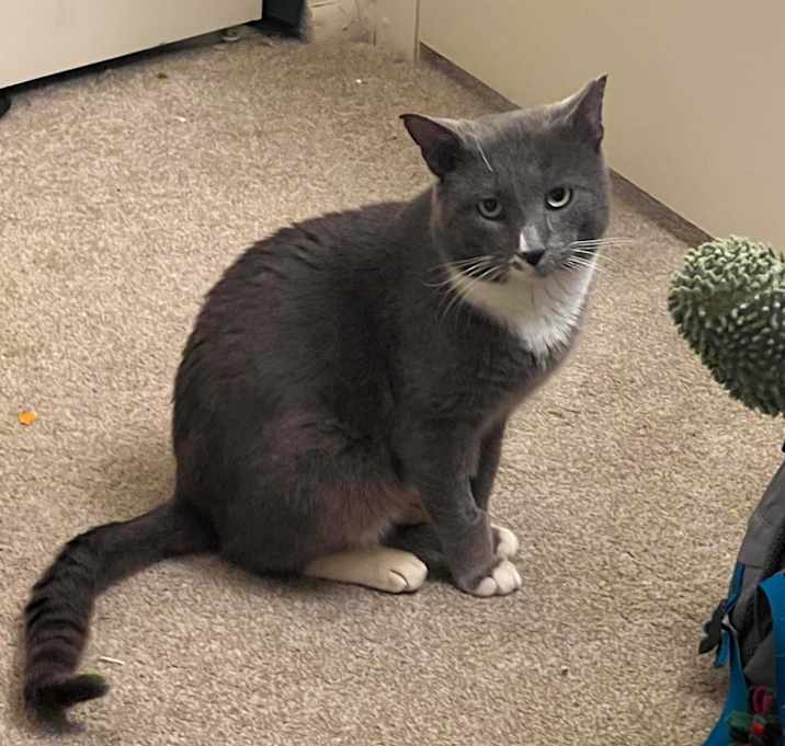 Photo of Mr. Smoke