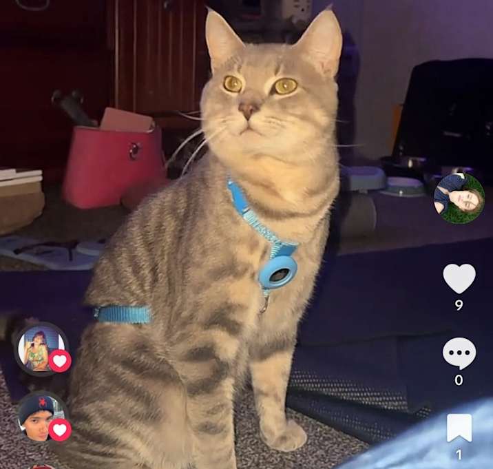 Photo of Mr Peach