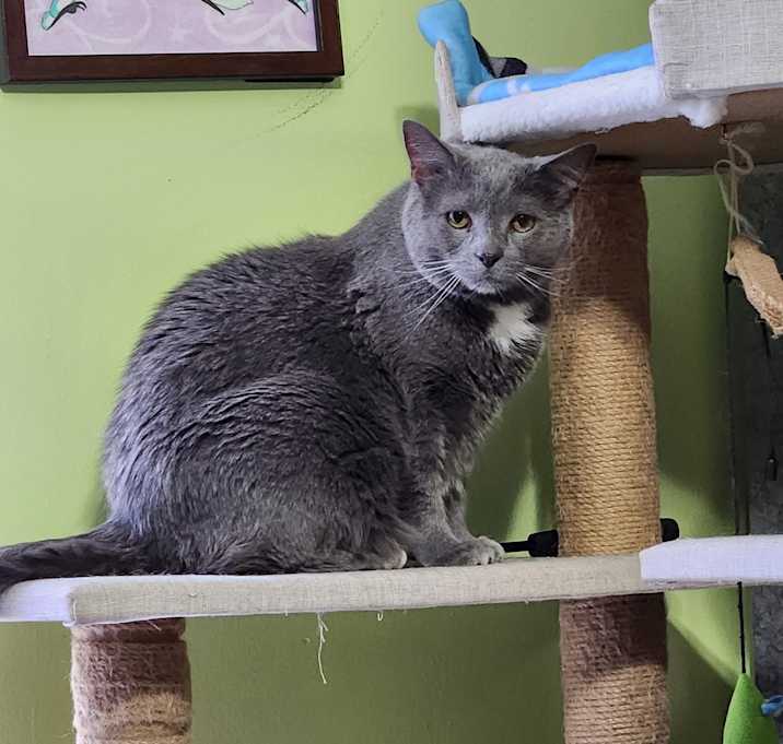 Photo of Opie