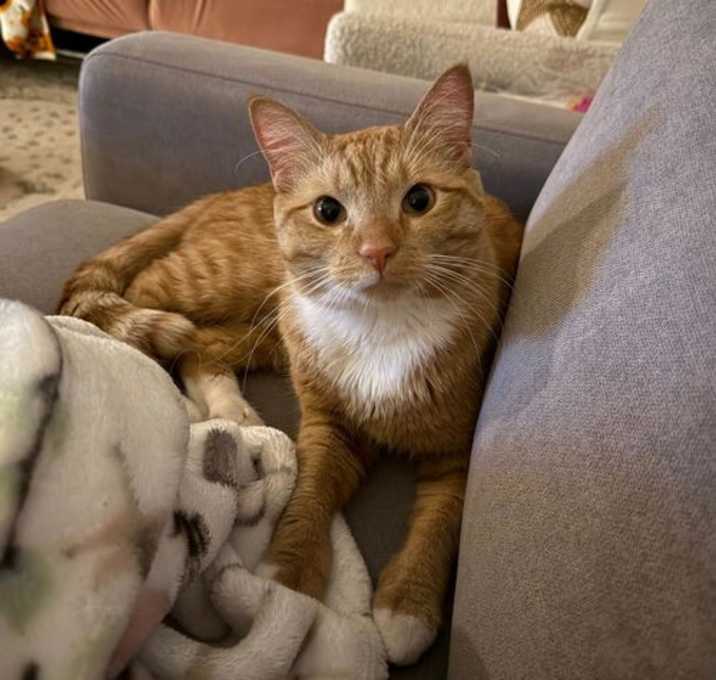Photo of Nacho