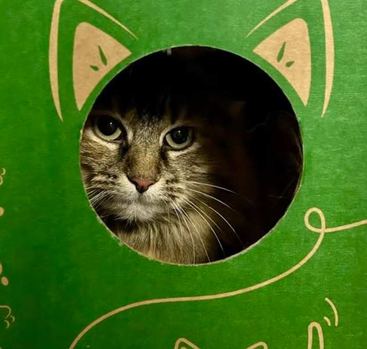 Photo of Franny