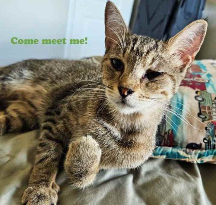 Photo of Tabitha