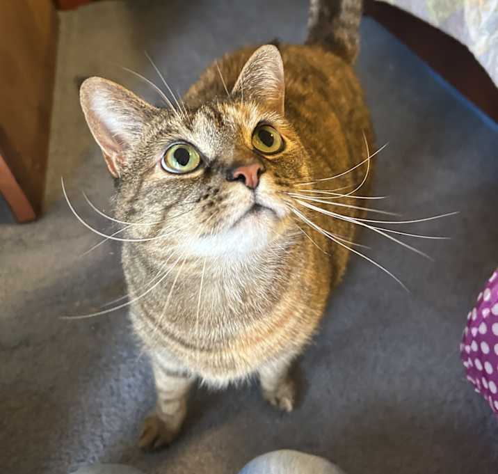 Photo of Ranger