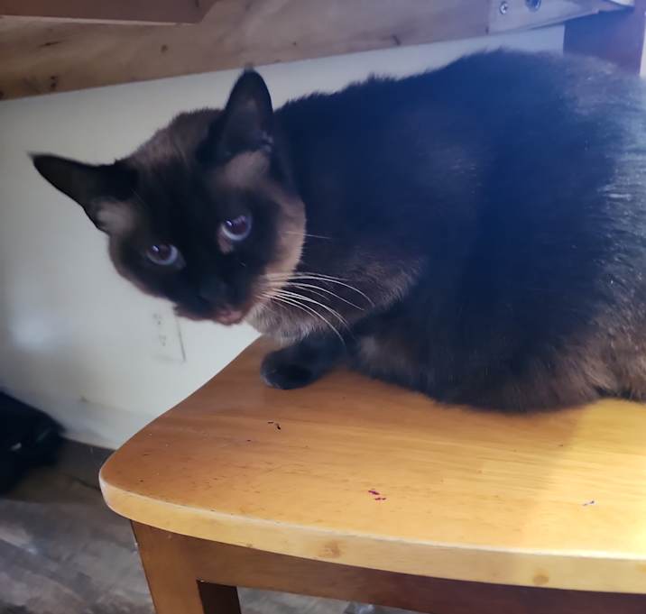 Photo of Charlotte
