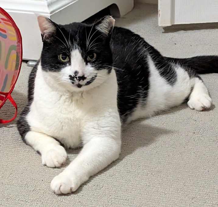 Photo of Mr. Scrungles