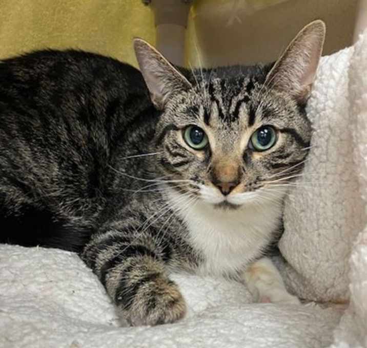 Photo of VITO