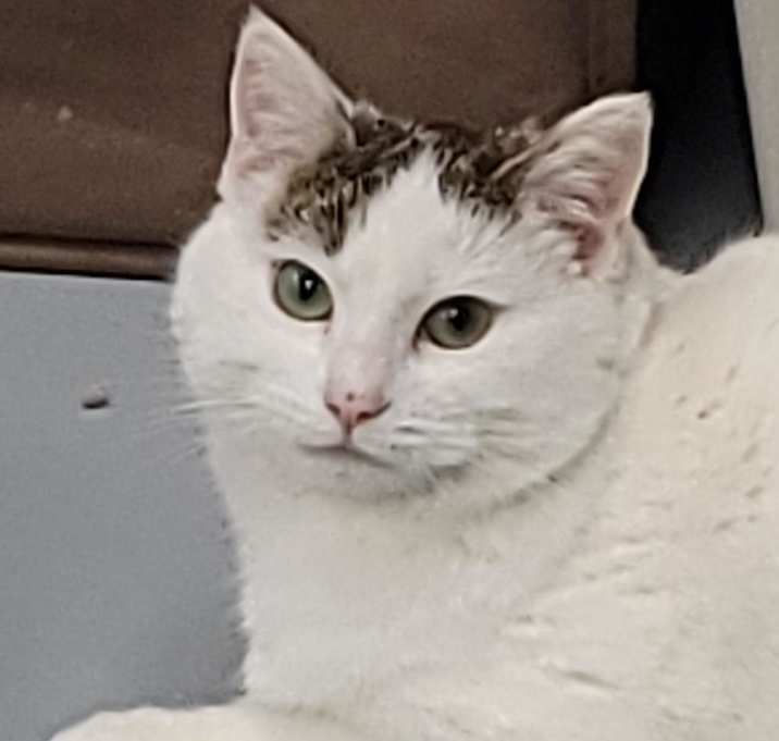 Photo of Whitney