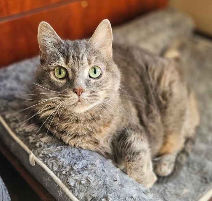 Photo of JoJo