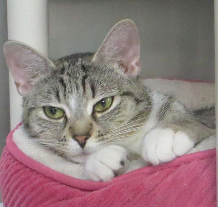 Photo of Mitz
