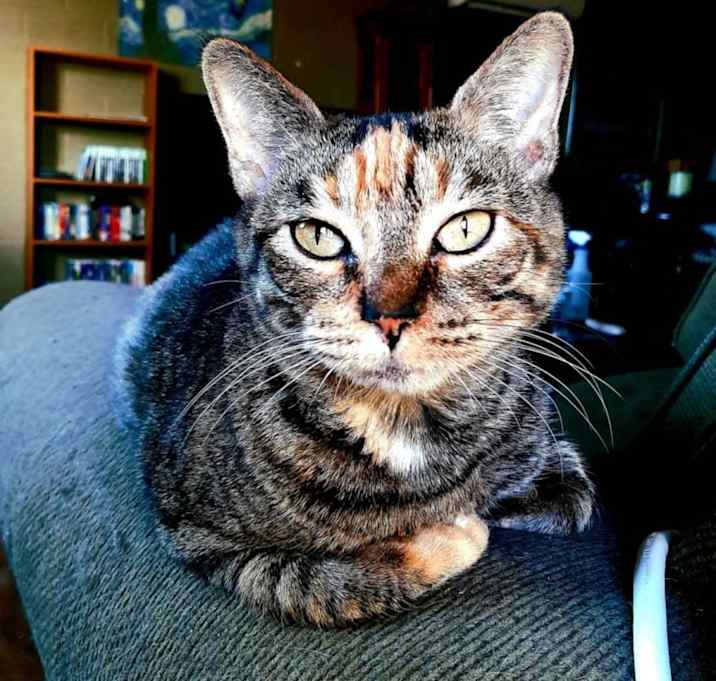 Photo of Fiona