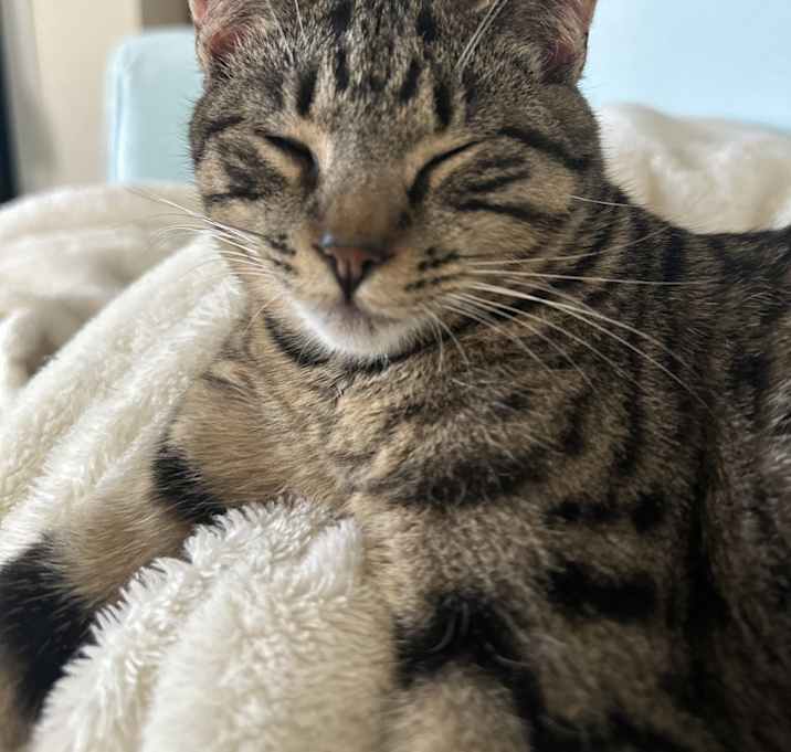 Photo of Maru