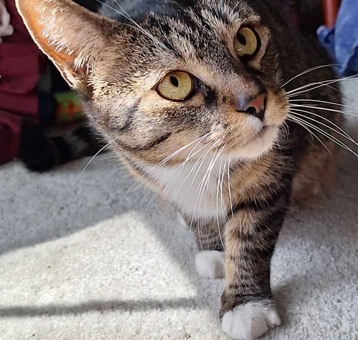 Photo of Tabatha