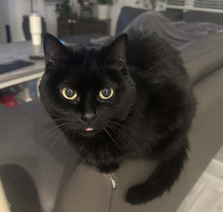 Photo of Betty