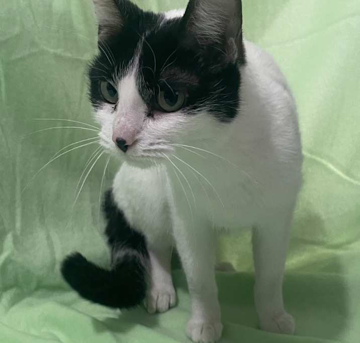 Photo of Leonora