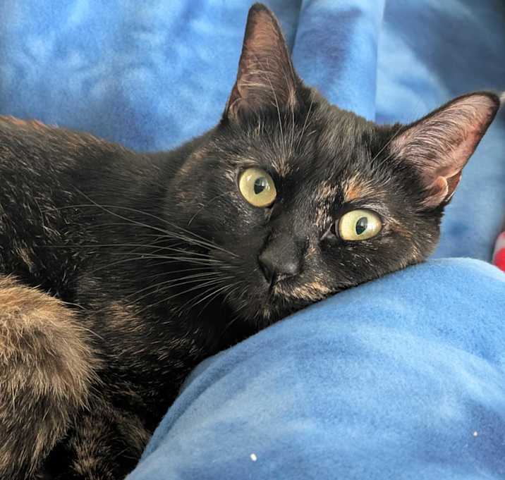 Photo of Kiki