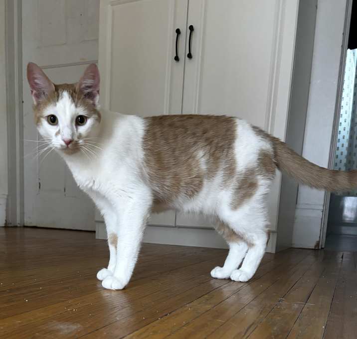 Photo of Louie