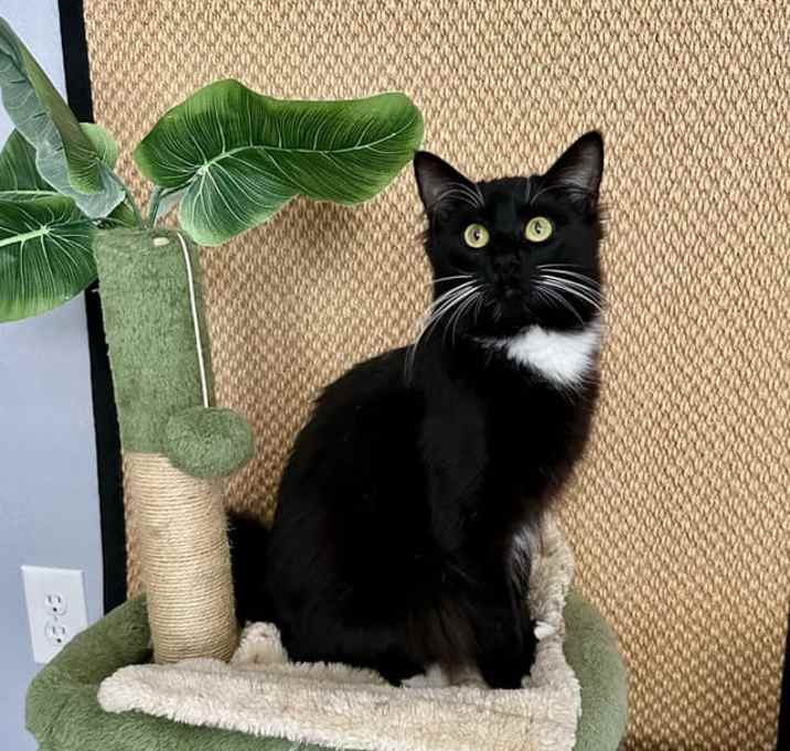 Photo of Lucky