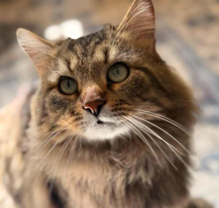 Photo of Frank