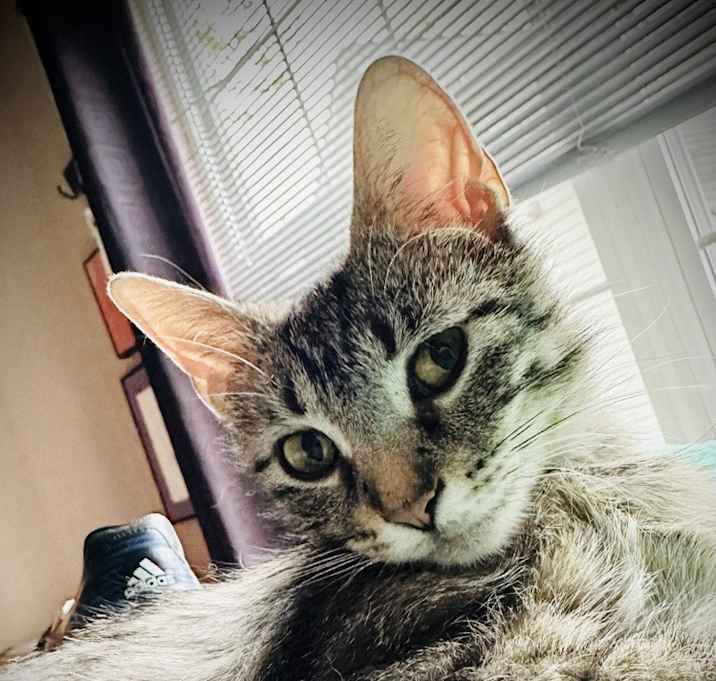 Photo of Mama Mia