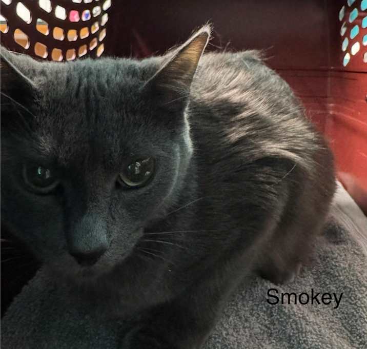 Photo of Smokey Girl