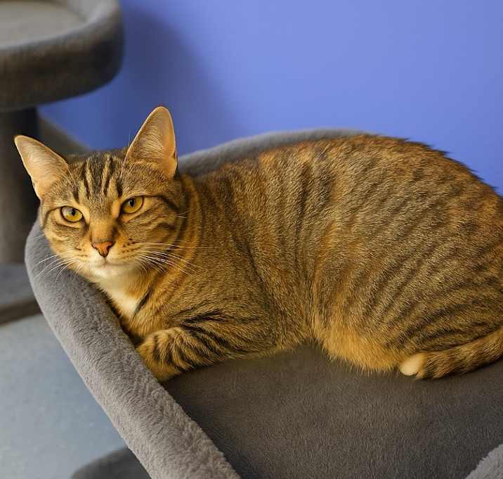 Photo of Huey
