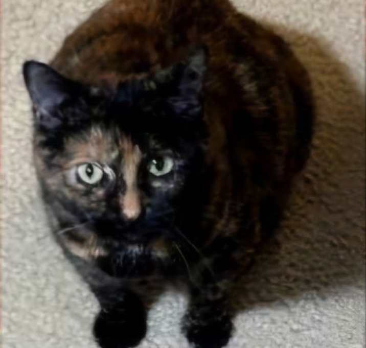 Photo of Carmel