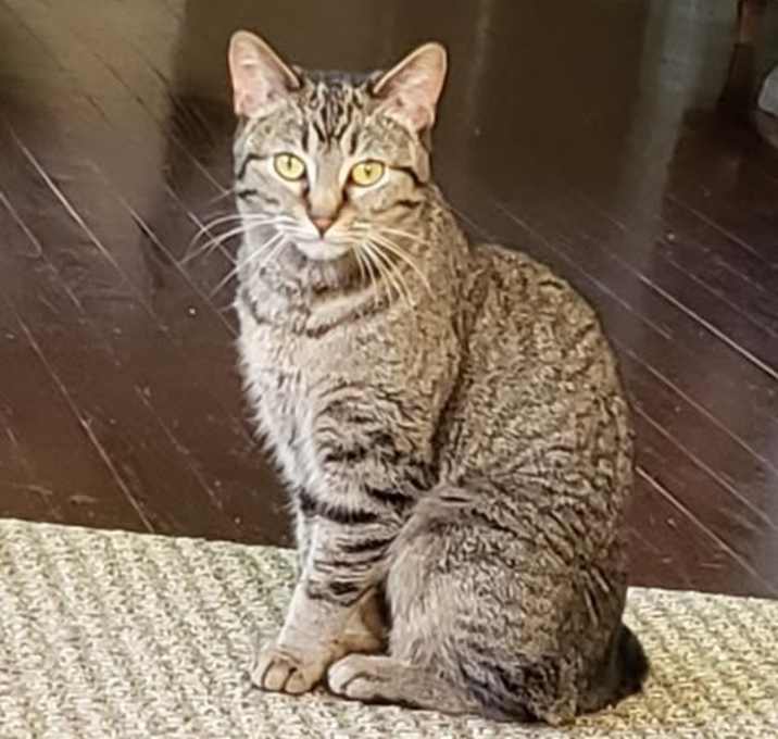 Photo of Stella