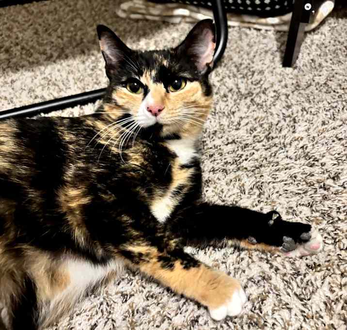 Photo of Jelly Belly