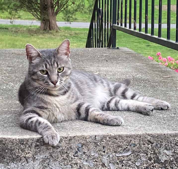 Photo of Tink