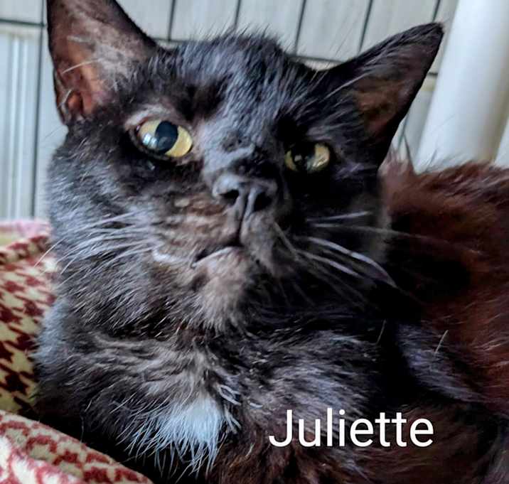 Photo of Juilette