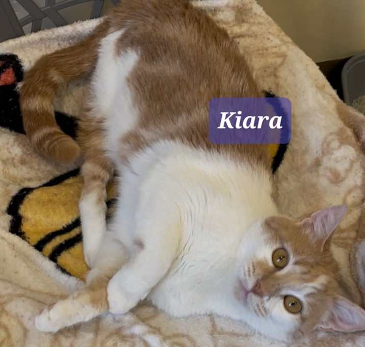 Photo of Kiara 