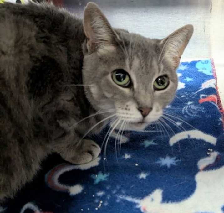 Photo of Zephyr