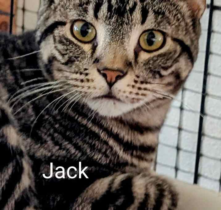Photo of Jack