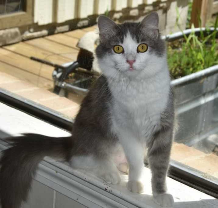Photo of Lillian